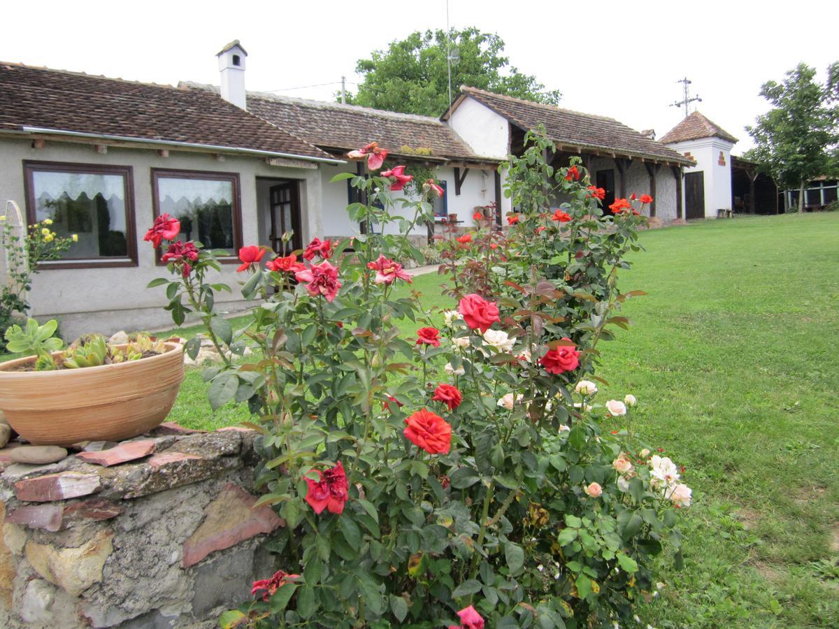 Guest House Vila Albedo Varna Ngoại thất bức ảnh